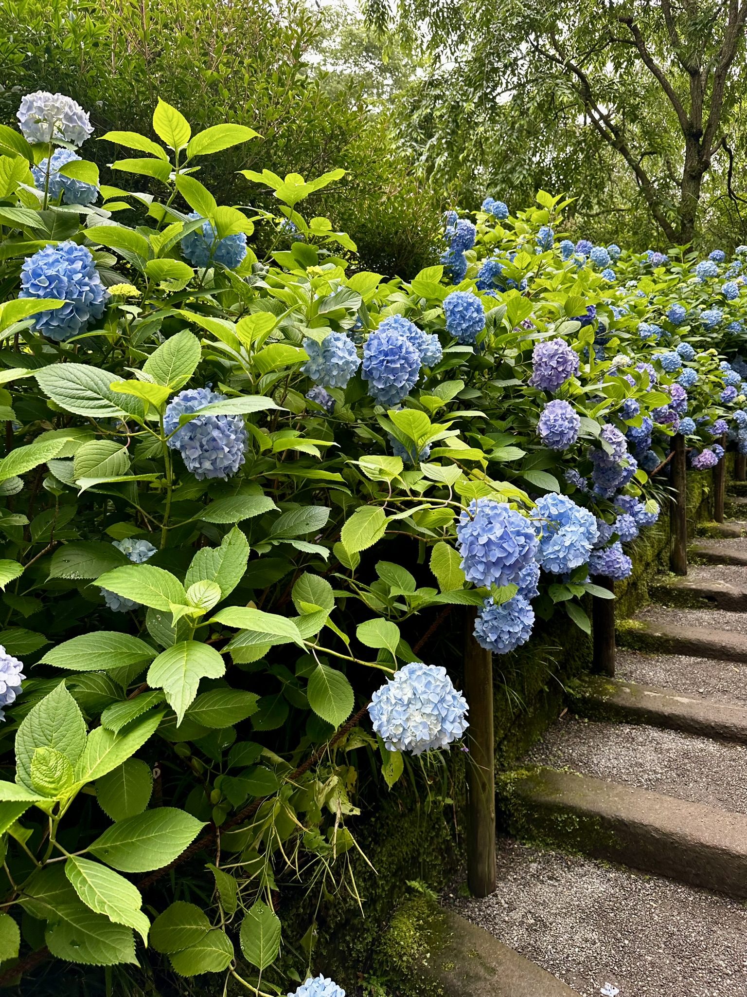 Rokuyou (六曜): The Lucky and Unlucky Japanese Days